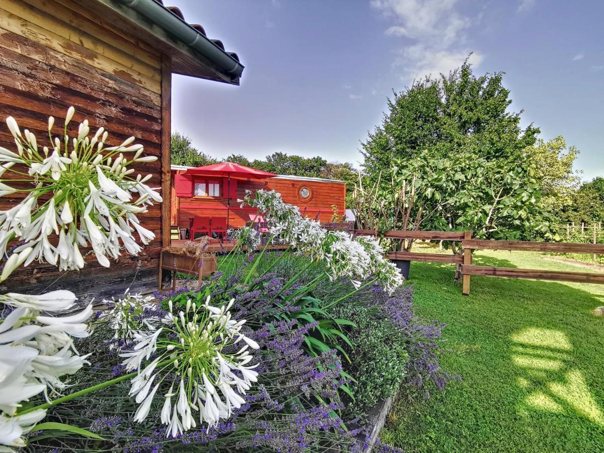 La Roulotte Du Cagire - 4 Pers - Pyrenees Guest House Villeneuve-de-Rivière Exterior photo